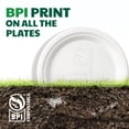 thumbnail image 2 of Platos de papel Joyborn 100% compostables, 25 cm, 125 unidades, 2 of 6