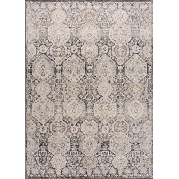 BoutiqueRugs Minoa Oriental Boho Vintage Area Rug - Farmhouse Traditional Patterned Carpet for Living Room, Bedroom - Beige, Black, Charcoal, Cream, Gray, Sage - 5'3" x 7'3"