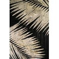 thumbnail image 2 of Pinto, Patricia 17x24 Gold Ornate Wood Framed with Double Matting Museum Art Print Titled - Natural Palms on Black III, 2 of 4