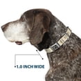 thumbnail image 6 of Buckle-Down Pet Collar, Dog Collar Metal Seatbelt Buckle, Cacti Tans, 9.5 to 13 Inches 1.0 Inch Wide, 6 of 8