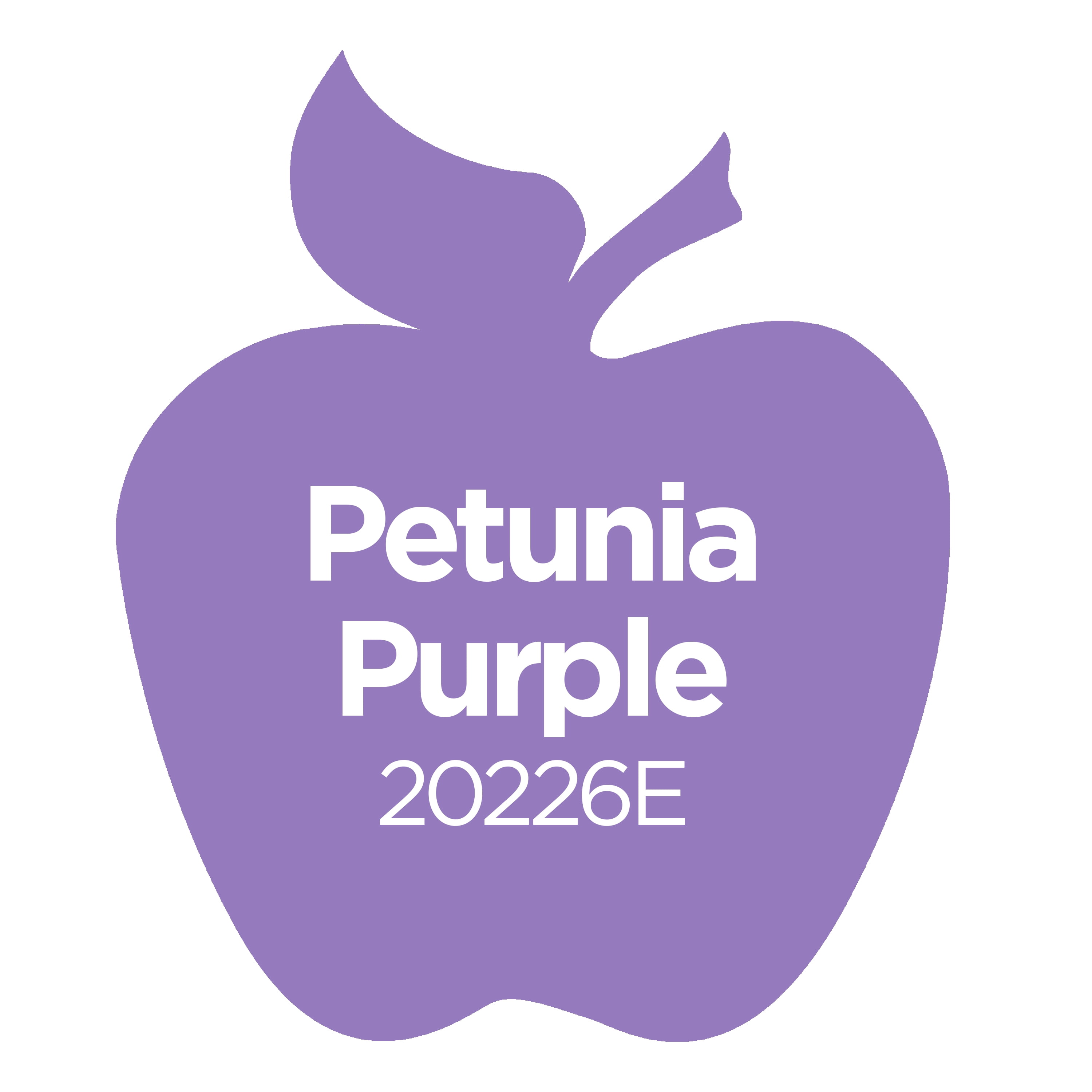 (8 pack) Apple Barrel Acrylic Craft Paint, Matte Finish, Petunia Purple, 2 fl oz