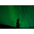thumbnail image 2 of wall26 - Beautiful View of Green Aurora - Removable Wall Mural | Self-Adhesive Large Wallpaper - 100x144 inches, 2 of 6