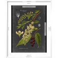 thumbnail image 5 of Art.com Custom Midnight Botanical II (R) Art Print by Vision Studio, White Frame Wall Art, 23" x 29", 5 of 5