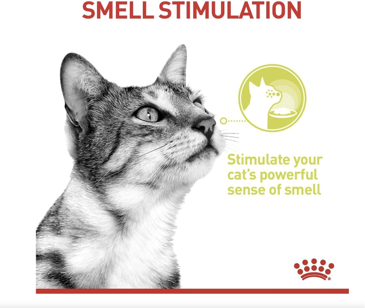 Royal Canin Sensory Smell Cat Wet Food 12x85g CIG