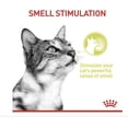 thumbnail image 4 of Royal Canin Sensory Smell Cat Wet Food 12x85g CIG, 4 of 9