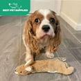 thumbnail image 7 of 2-in-1 Fun Skin Stuffless Dog Squeaky Toy by Best Pet Supplies - Hare, Small, 7 of 7