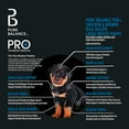 thumbnail image 5 of Pure Balance Pro+ Chicken and Brown Rice Large Breed Puppy Food, 16 lbs, 5 of 9