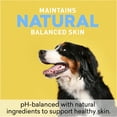 thumbnail image 6 of Just Nutritive Shampoo for Dogs and Puppies, Moisturize & Calm Dry Irritated Skin with Oatmeal, 16oz, 6 of 8
