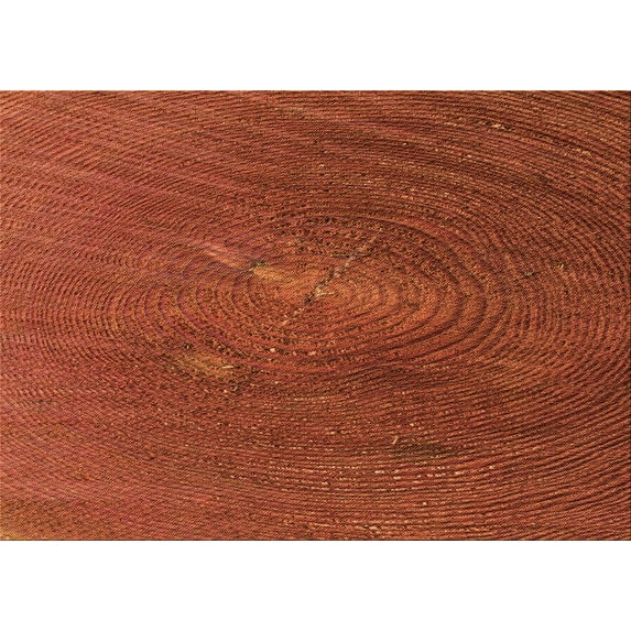 Ahgly Company Indoor Rectangle Patterned Orange Red Orange Area Rugs, 2' x 5'