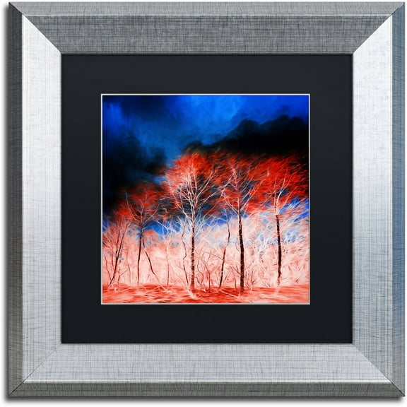 Trademark Fine Art "The Worst Is Yet To Come" Canvas Art by Philippe Sainte-Laudy Black Matte, Silver Frame