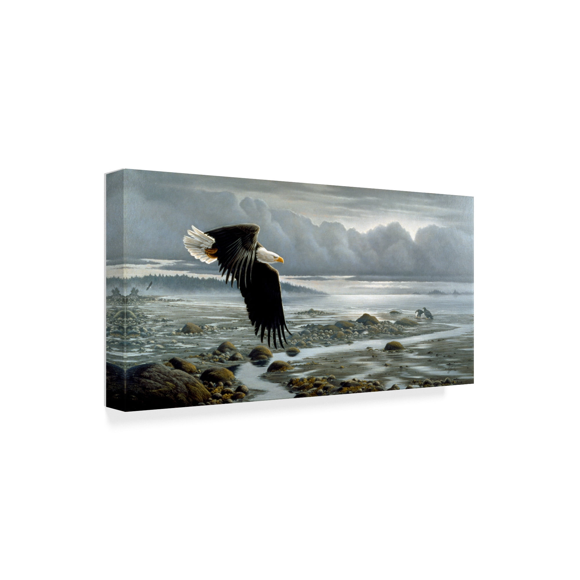 Trademark Fine Art 'Low Tide Bald Eagle' Canvas Art by Wilhelm Goebel