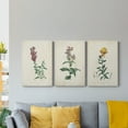 thumbnail image 5 of Traditional Botanical I Premium Gallery Wrapped Canvas - Ready to Hang - 24 x 36 Each, 5 of 10