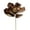 Copper, variant on Vickerman 13" Artificial Red Magnolia Pick 3/Bag. Includes three pieces per bag.