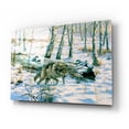 thumbnail image 2 of Epic Art 'Snow Wolf' by Bill Makinson, Acrylic Glass Wall Art, 24"x16", 2 of 8