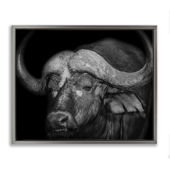 Stupell Industries Southwestern Dark Buffalo Photography Gray Floating Frame Canvas Art, 21 x 17, by Marcus Prime