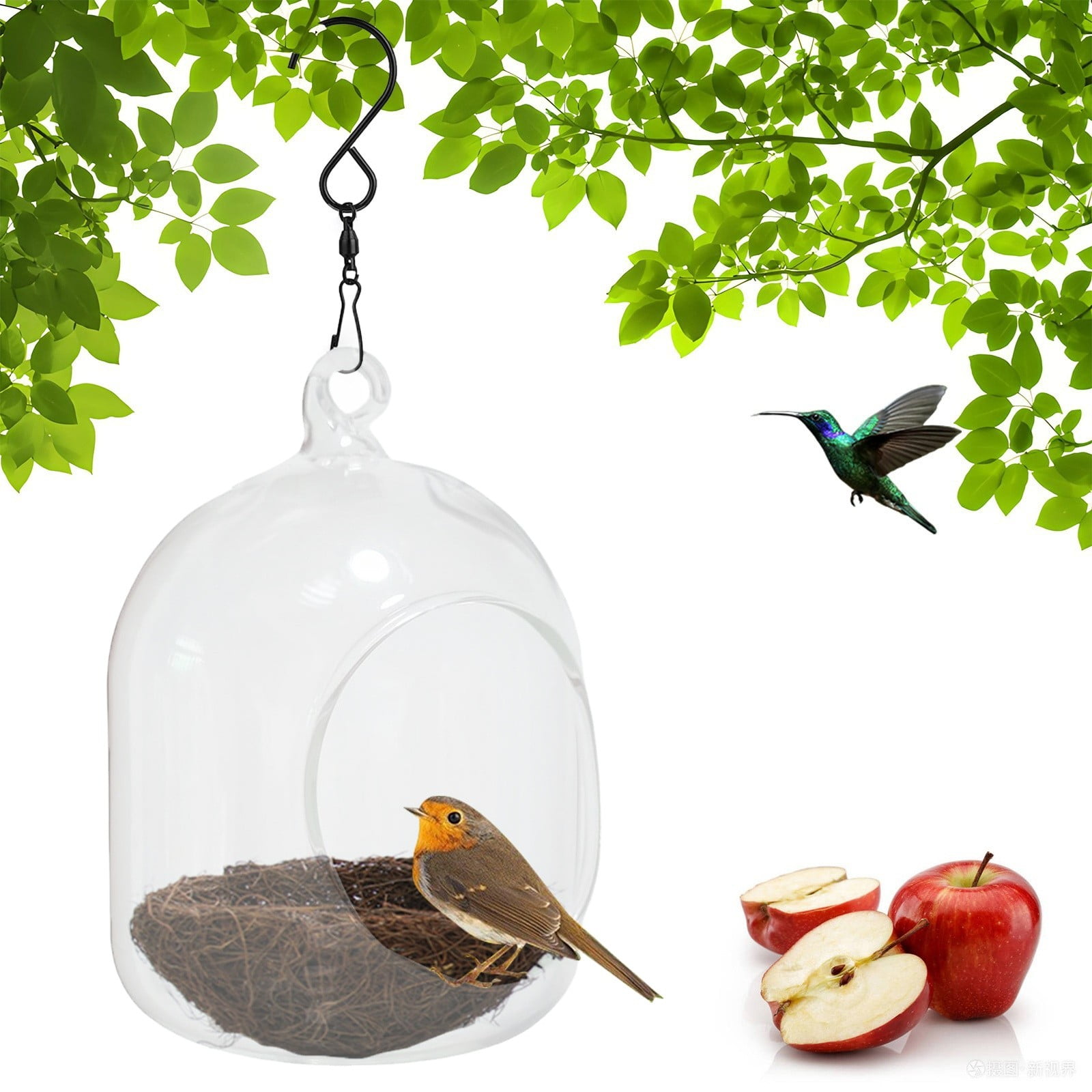 Nichoir Oiseaux Extérieur à Suspendre Avec Fenêtre Transparente - Observation Oiseaux