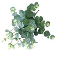 thumbnail image 3 of Flor artificial 4 ramas Flor falsa con hojas Oficina en casa Banquete de boda Decoración floral artificial, Blanco verde Vogacara HA6518-01B, 3 of 6