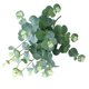 thumbnail image 3 of Flor artificial 4 ramas Flor falsa con hojas Oficina en casa Banquete de boda Decoración floral artificial, Blanco verde kenally HA6518-01B, 3 of 6
