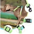 thumbnail image 4 of LAICAIW Dog Collar Harness and Leash Set Green Color, Adjustable Lightweight Pet Harness & Leash, Fashionable Comfortable no Pull Rope Set for Small & Medium Dog, 4 of 7