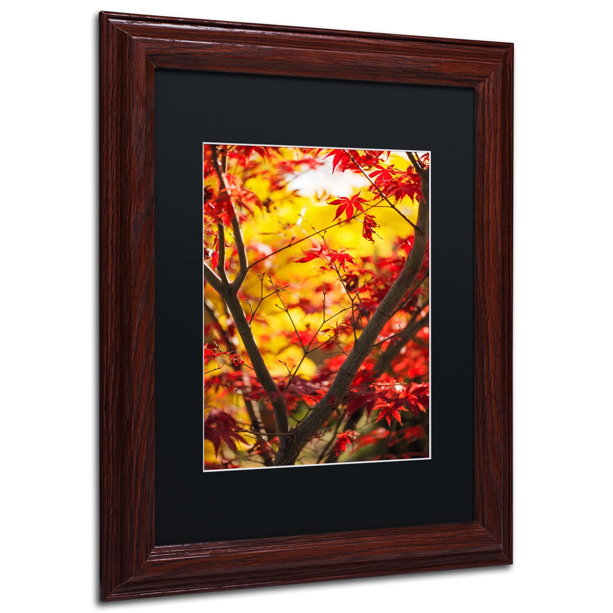 Trademark Fine Art "Morning Jive" Canvas Art by Philippe Sainte-Laudy Black Matte, Wood Frame