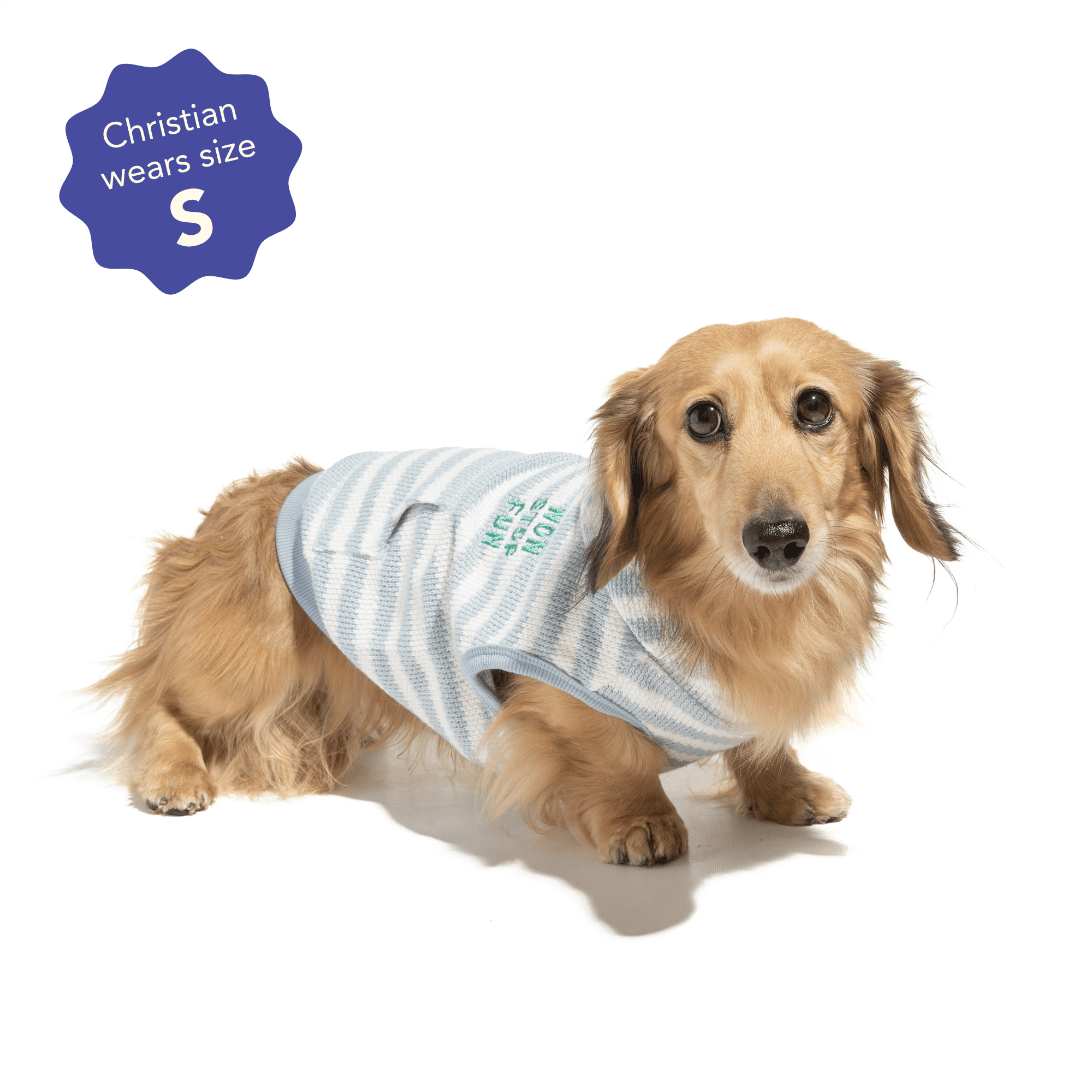 Oodles Good Dog Bubble Hem Dog Hoodie, Green, Medium