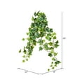 thumbnail image 2 of Vickerman 28" Artificial Varigated Ivy Hanging Bush, Pack of 2, 2 of 3