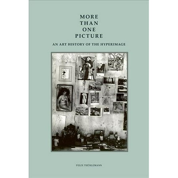 More than One Picture: An Art History of the Hyperimage, 9781606066256, Paperback, 1