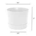 thumbnail image 3 of Root & Vessel Majestic Low Profile Cylinder Pot, White, 6.5", 3 of 4