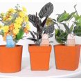 thumbnail image 5 of 4pcs Self Watering Spike Globes Devices,clear Plant Waterer,automatic Dripper Irrigation Lh-1, 5 of 5