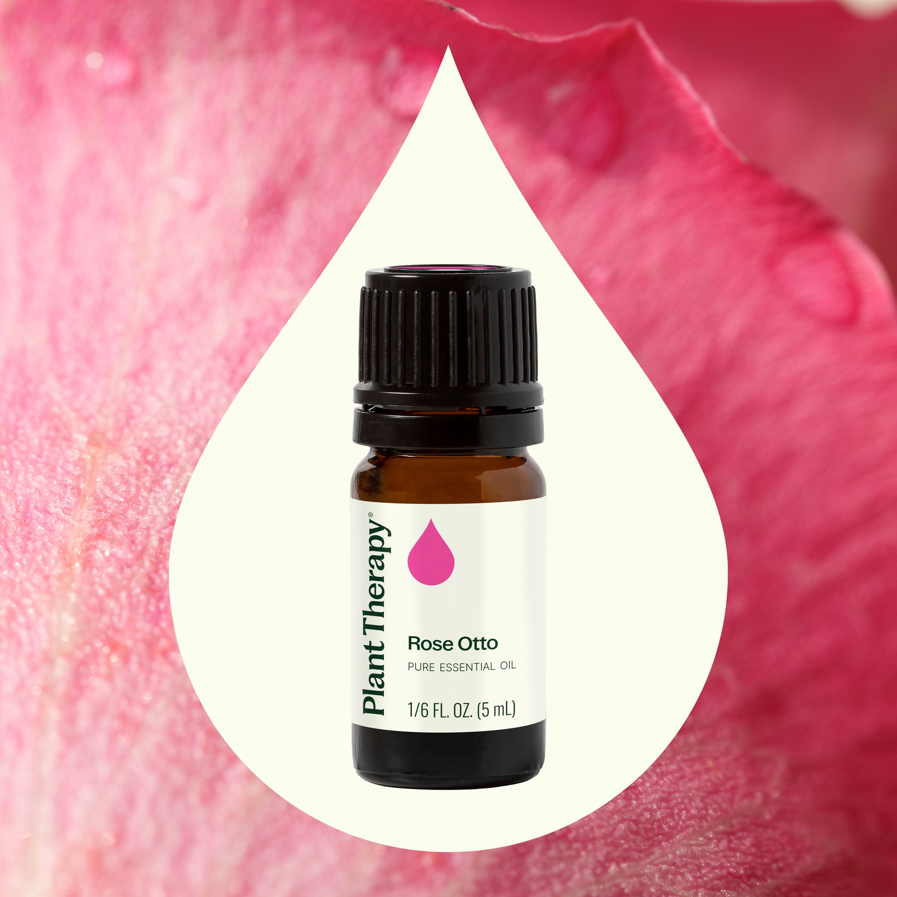 Plant Therapy Rose Otto Essential Oil 5 mL (1/6 oz) 100% Pure, Undiluted, Natural Aromatherapy