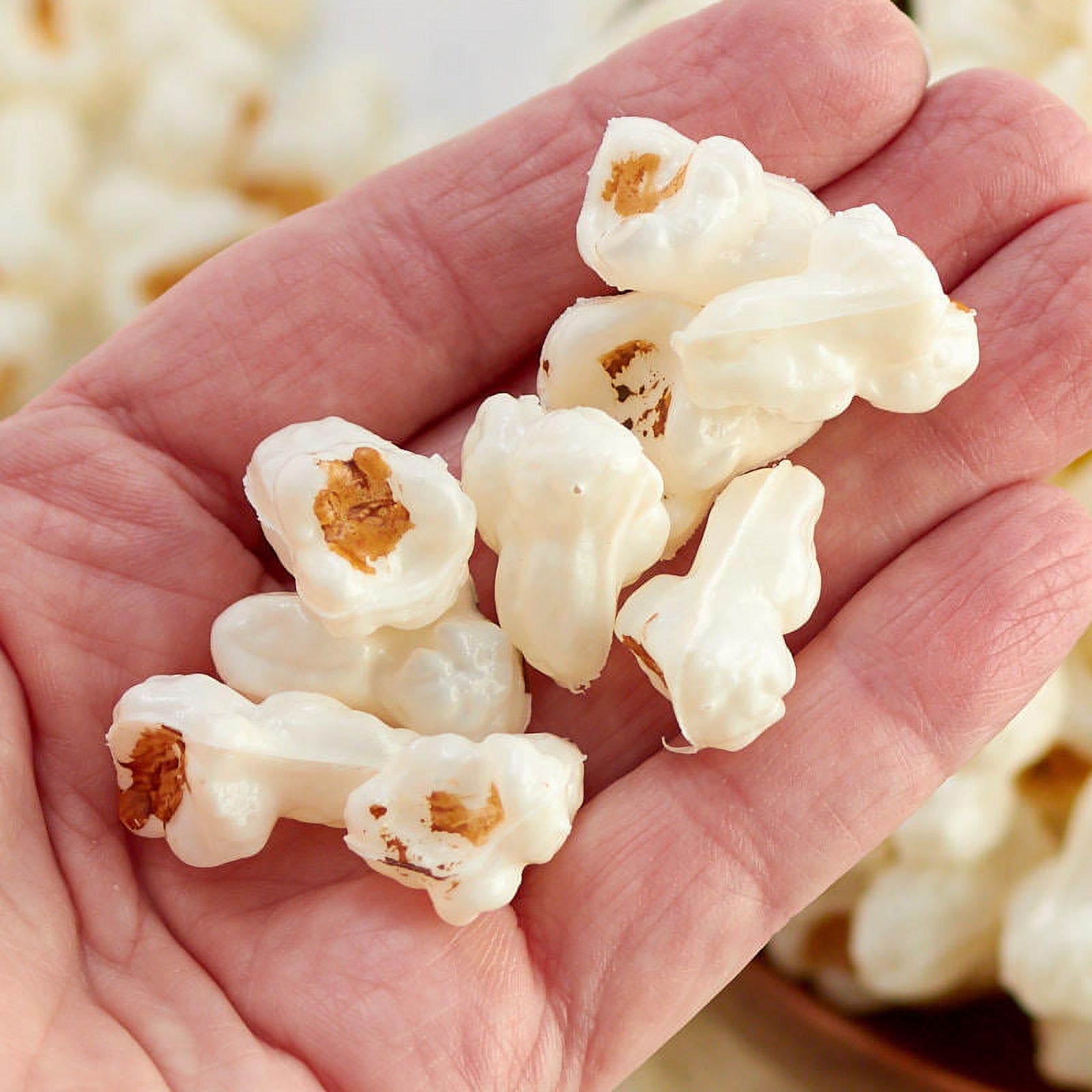 Factory Direct Craft Artificial Popcorn Kernels, Approx 100 Pieces