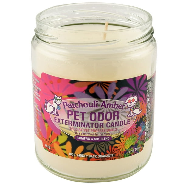 Pet Odor Exterminator Candle, Patchouli Amber - Walmart ...