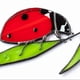 thumbnail image 5 of Ladybug Light Catcher Stained Glass Window Hanging, 5 of 5