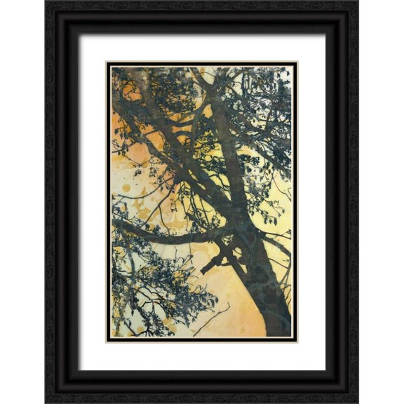 McMasters, James 23x32 Black Ornate Wood Framed with Double Matting Museum Art Print Titled - Bubbly Branches