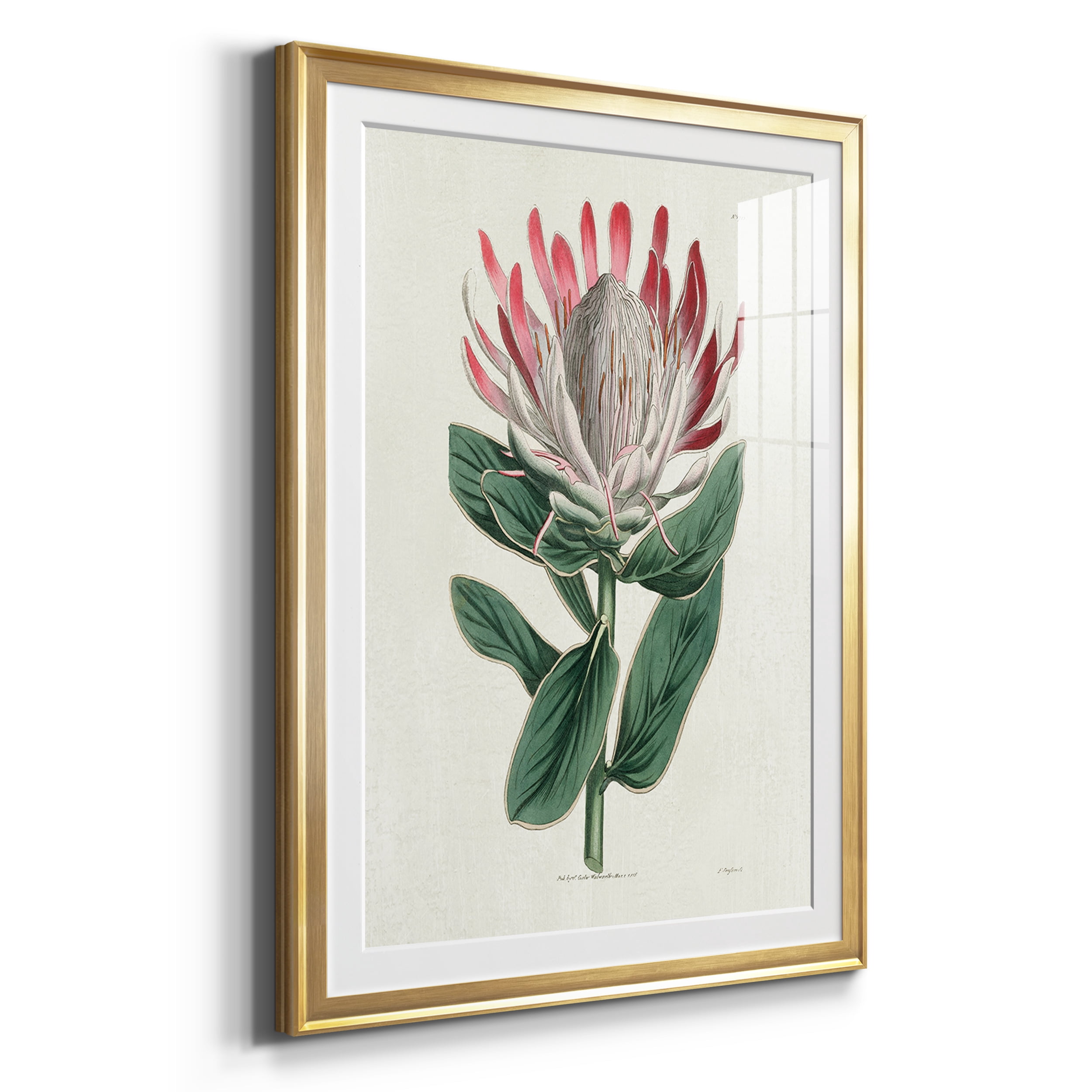 Protea N13 Premium Framed Prints Set of 3 - Ready to Hang - 30.5 x 42.5 Each - Gold Frame
