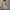 Khaki, variant on HOMBOM Green Dresses for Women 2024 Summer Mini Sundress Crew Neck Floral Leaf Sleeve Sleeveless Spring Dresses L