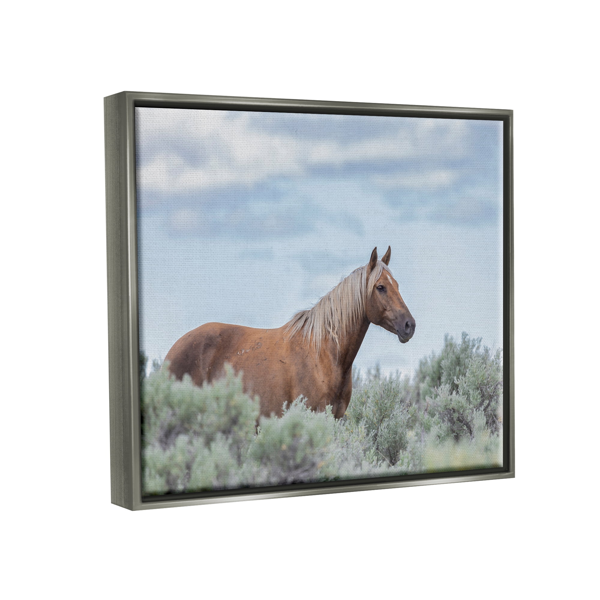 Stupell Industries Stallion Horse Among Bushes Clear Blue Sky Graphic Art Luster Gray Floating Framed Canvas Print Wall Art, Design by Lauri McFerrin