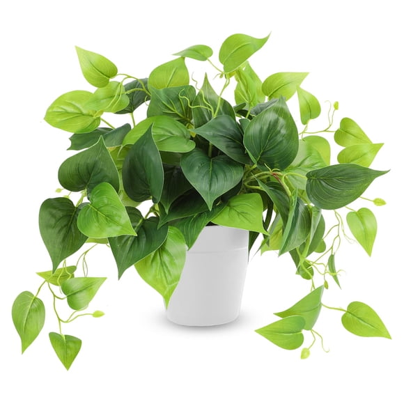 Planta artificial CEWOR Pothos Scindapsus Aureus de 20 cm con maceta