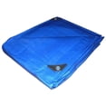 thumbnail image 1 of Lona Azul 3 X 3 M Wolfox Wolfox WF0739, 1 of 2