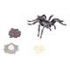 thumbnail image 4 of Juguete de Estatuilla de Crecimiento de Araña Conjunto de Modelo de Ciclo de Vida de Crecimiento de Araña Adornos de Figuras de Animales de Simulación para la Colección de ANGGREK Otros, 4 of 8