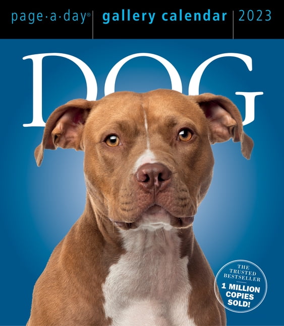 Buy Dog PageADay Gallery Calendar 2023 Calendar Online at Lowest
