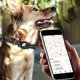 thumbnail image 3 of Airtag Dog Collar, Apple Air Tag Dog Collar, Heavy Duty Dog Collar with Airtag Holder Case, Adjustable Air Tag Accessories Pet Collar for Medium Large, 3 of 4