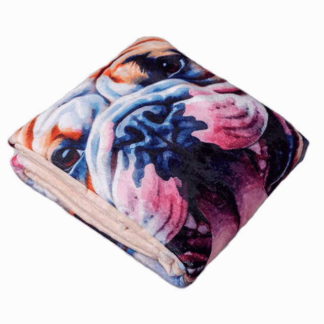 Pets, Paws and Ideas Waterproof Pet Blanket for Dogs and Cats, Reversible Furniture, Bed & Couch Protector, Spill-Proof, Washable, Soft Flannel Sherpa Cover Corgi Design