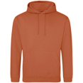 thumbnail image 1 of Awdis  Adult College Hoodie, 1 of 2