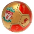 thumbnail image 1 of Liverpool FC Printed Signature Mini Football, 1 of 2