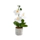 thumbnail image 1 of Flores artificiales de orquídeas de plástico Cateissary maceta de flores decoración Blanco, 1 of 6