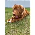 thumbnail image 3 of Nylabone Power Chew Shish Kabob Alternative Nylon Dog Chew Toy - Up to 50 lbs., 3 of 10
