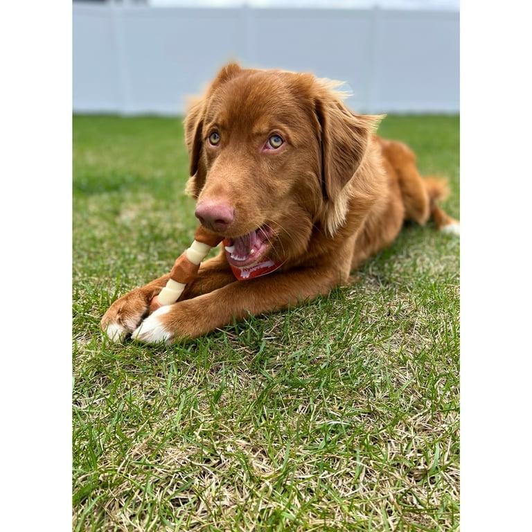 Nylabone Chicken Flavor Power Chew Shish Kabob Alternative Nylon Large Chew Toy
