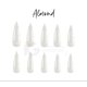 thumbnail image 5 of Uñas Postizas Caja Con 500 Tip Manicure Almond Transparente Belié Tips 500, 5 of 5