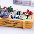 thumbnail image 5 of KAIYANG piezas de adornos de panda, microadornos para jardín, decoración de bonsái, manualidades, accesorios para tartas, muñecas chinas creativas para el hogar, 5 of 5